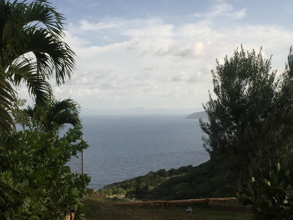 El Monte Azul Bed & Breakfast Las Galeras Eksteriør bilde